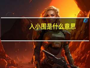 入小围是什么意思