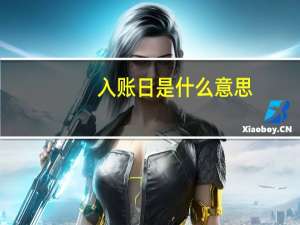 入账日是什么意思