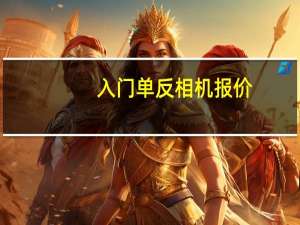 入门单反相机报价（入门单反）
