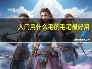 入门用什么毛的毛笔最好用