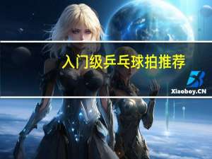 入门级乒乓球拍推荐