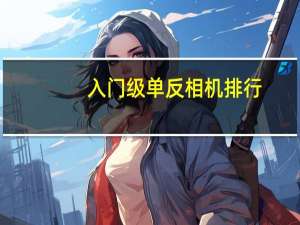 入门级单反相机排行（单反入门相机）