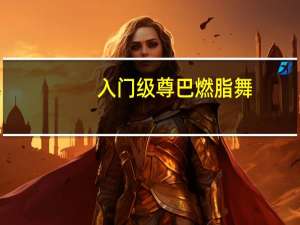入门级尊巴燃脂舞（入门级）