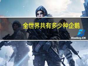 全世界共有多少种企鹅