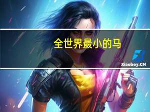 全世界最小的马