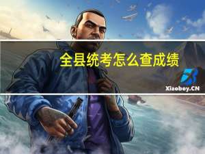 全县统考怎么查成绩