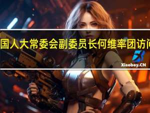 全国人大常委会副委员长何维率团访问新加坡