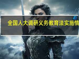 全国人大调研义务教育法实施情况