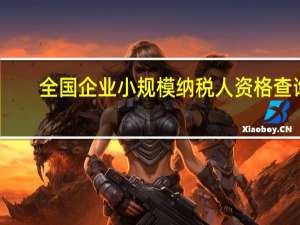 全国企业小规模纳税人资格查询（企业小规模纳税人查询）