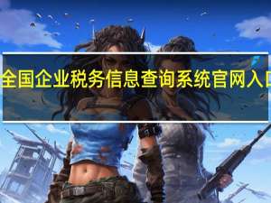 全国企业税务信息查询系统官网入口网址（全国企业税务信息查询）
