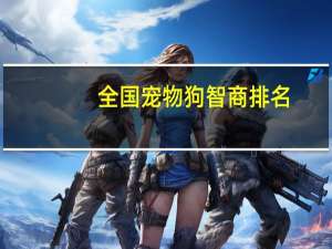 全国宠物狗智商排名
