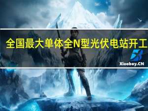 全国最大单体全N型光伏电站开工建设