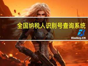 全国纳税人识别号查询系统