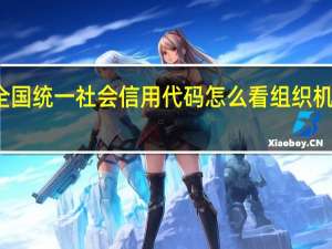 全国统一社会信用代码怎么看组织机构代码
