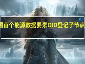 全国首个能源数据要素OID登记子节点正式运营