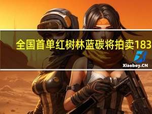 全国首单红树林蓝碳将拍卖 183元/吨的价格究竟合不合理？