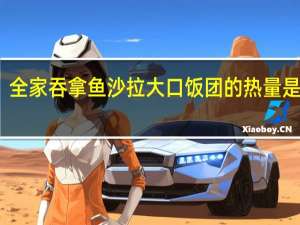 全家 吞拿鱼沙拉大口饭团的热量是多少