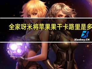 全家 呀米将苹果果干卡路里是多少