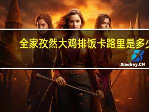 全家 孜然大鸡排饭卡路里是多少