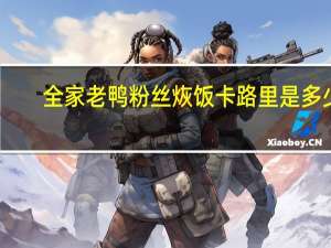 全家 老鸭粉丝烣饭卡路里是多少
