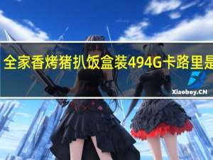 全家 香烤猪扒饭盒装494G卡路里是多少