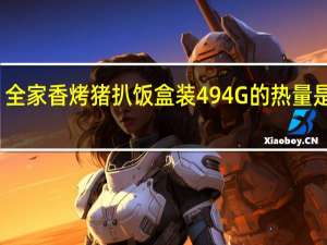 全家 香烤猪扒饭盒装494G的热量是多少