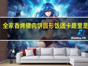 全家 香烤猪肉饼圆形饭团卡路里是多少