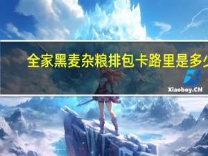 全家 黑麦杂粮排包卡路里是多少