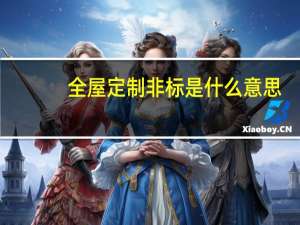 全屋定制非标是什么意思