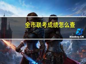 全市联考成绩怎么查