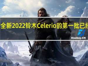 全新2022铃木Celerio的第一批已经到货