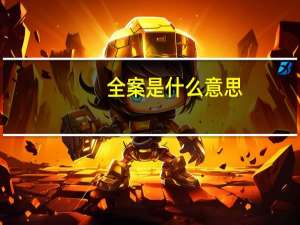 全案是什么意思
