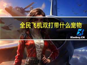 全民飞机双打带什么宠物