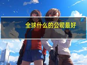 全球什么的公司最好