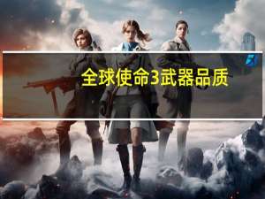 全球使命3武器品质