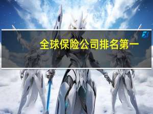 全球保险公司排名第一