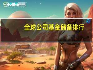 全球公司基金储备排行