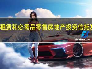 全球净租赁和必需品零售房地产投资信托发布演示文稿
