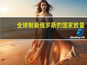 全球制裁俄罗斯的国家数量