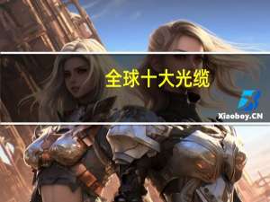 全球十大光缆