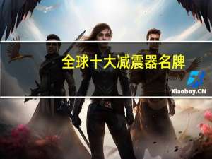 全球十大减震器名牌