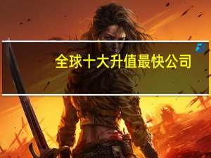 全球十大升值最快公司