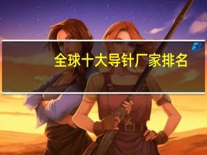 全球十大导针厂家排名