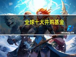 全球十大并购基金