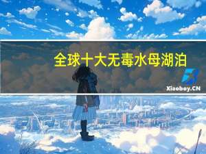 全球十大无毒水母湖泊