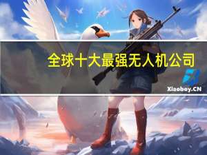 全球十大最强无人机公司