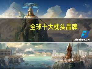 全球十大枕头品牌