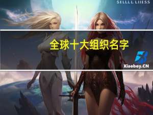 全球十大组织名字
