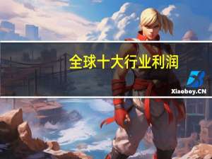 全球十大行业利润