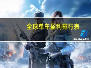 全球单车盈利排行表